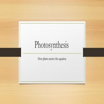 Photosynthesis
