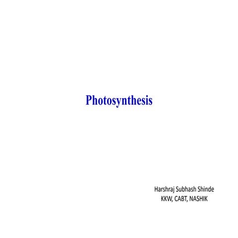 Photosynthesis