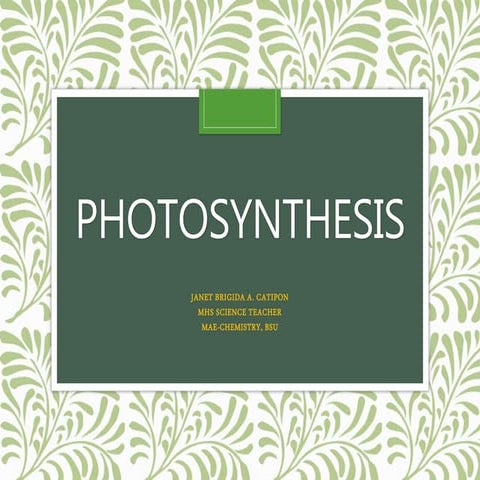 Photosynthesis