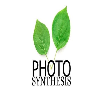 Photosynthesis