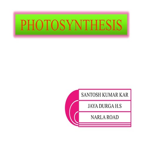 Photosynthesis