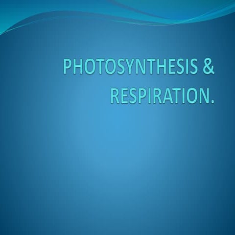 photosynthesis and respiration