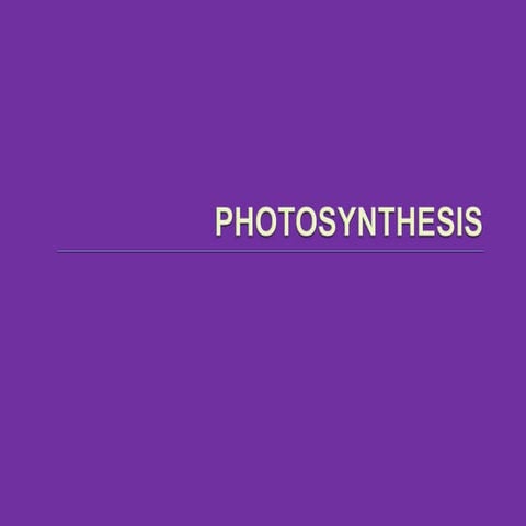 Photosynthesis