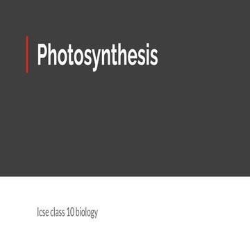 Photosynthesis
