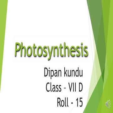 Photosynthesis