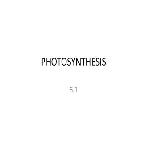 PHOTOSYNTHESIS.ppt