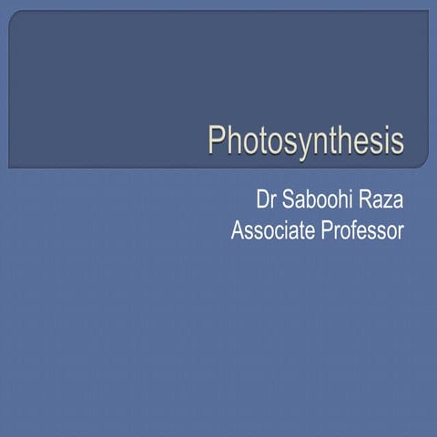 photosynthesis Presentation on Agriculture