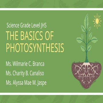 The Science of Photosynthesis: How Plants Convert Sunlight into Energy