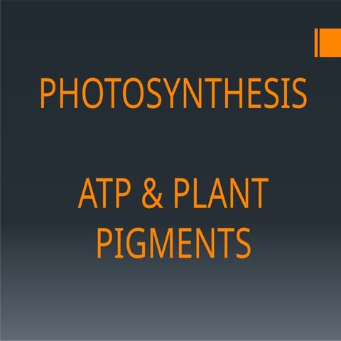 PHOTOSYNTHESIS: ATP & PLANT PIGMENTS.pptx