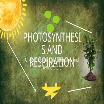 PHOTOSYNTHESIS.pptx dfjgjskdjrigjsdfgkopsdfksdfgokdogfos