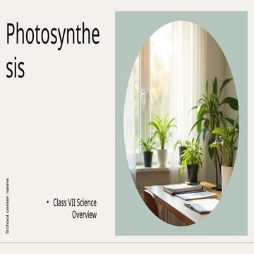 The Process of Photosynthesis Education Presentation .pdf