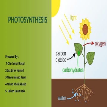 Photosynthesis class 10.pptx