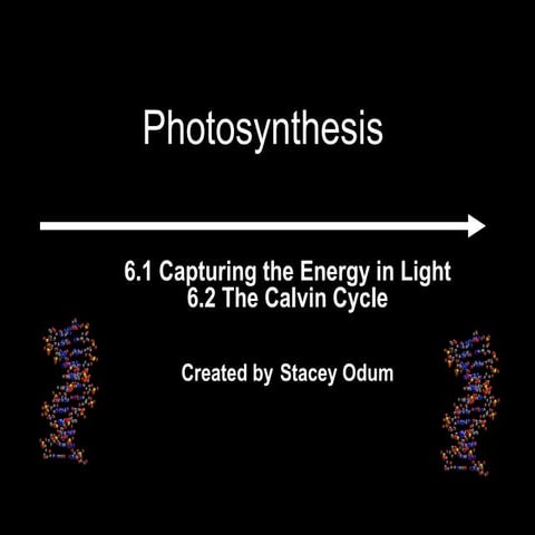 Photosynthesis