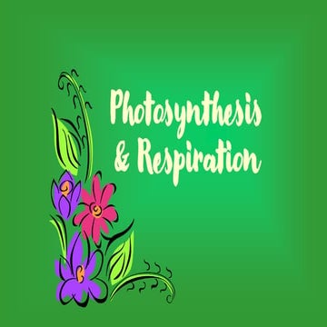 Photosynthesis-and-Respiration.pdf......