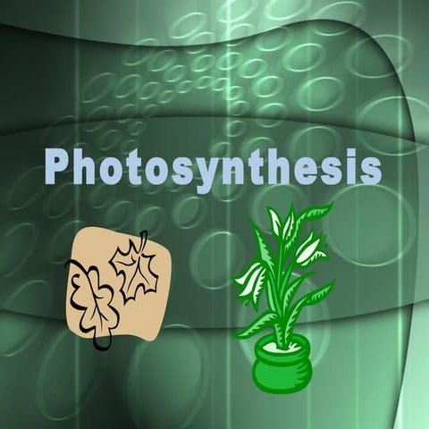 Photosynthesis 