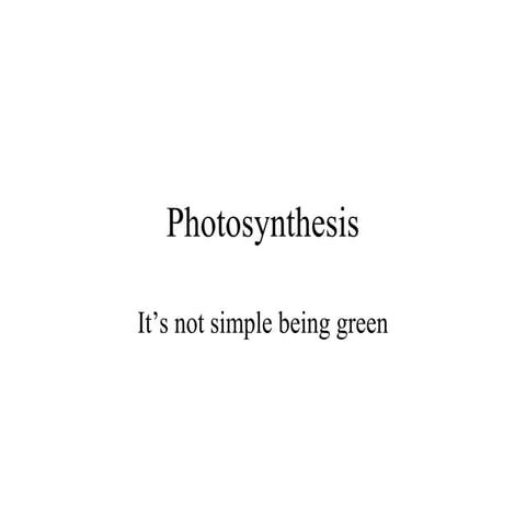 Photosynthesis final