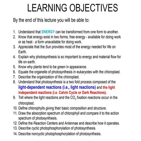 Photosynthesis by iqbal1313
