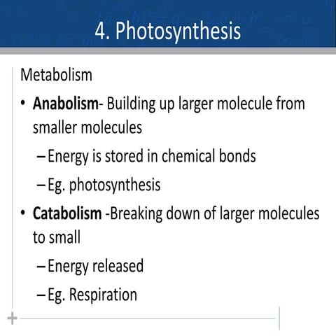 Photosynthesis