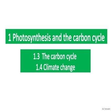 Understanding the Carbon Cycle and Climate Change Impacts on Earth | PPTX