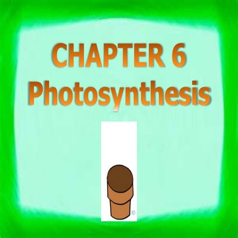 Chapter 6 - Photosynthesis