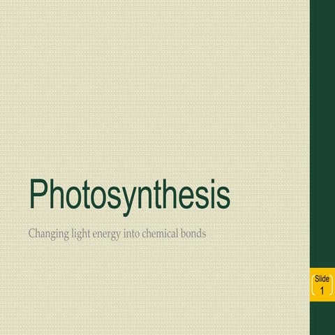 Photosynthesis 2016