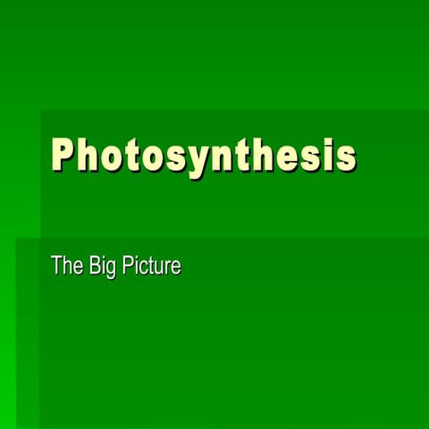 Photosynthesis3