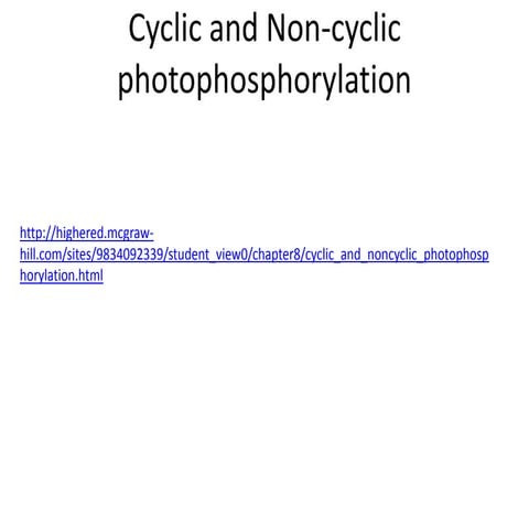 lunarglide 6 photosynthesis