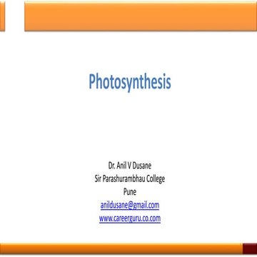 Photosynthesis
