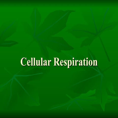 Photosynthesisand cellularrespiration