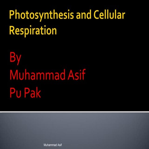 Photosynthesisand cellularrespiration