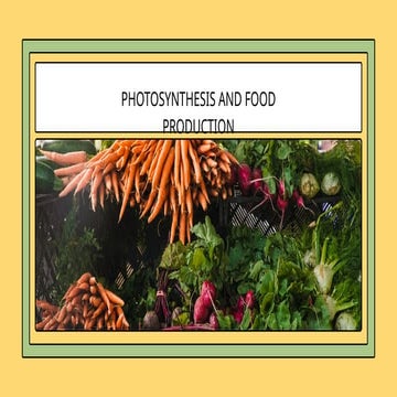 Photosynthesis and Food Production Lesson Presentation in Yellow and Green Ph...