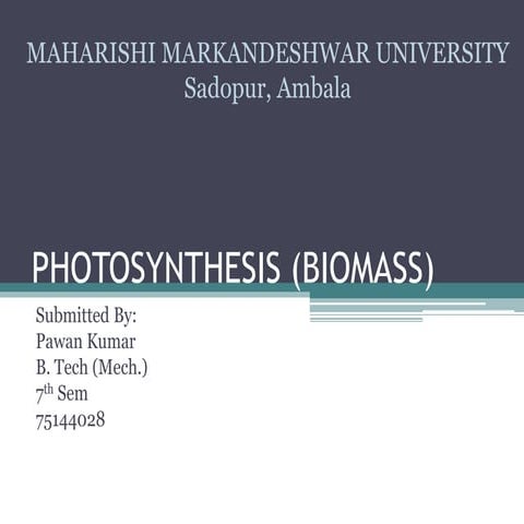 Photosynthesis (biomass)