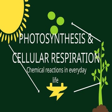 photosynthesis & cellular respiration.pptx