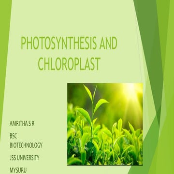 Photosynthesis & chloroplast