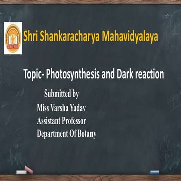 Photosynthesis dark reaction 