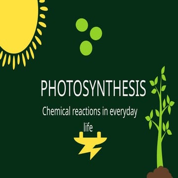 photosynthesis processes FOR RECCLA.pptx