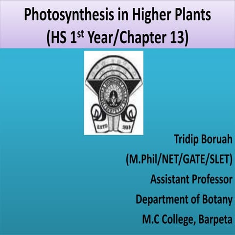 Photosynthesis in higher plants
