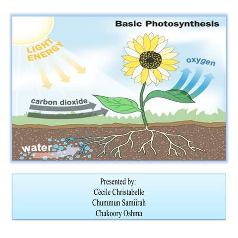 Basic principles of photosynthesis Lecture note ppt.pptx