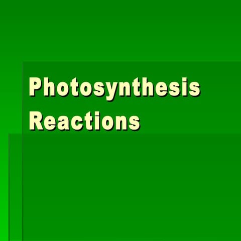 Photosynthesis part 2