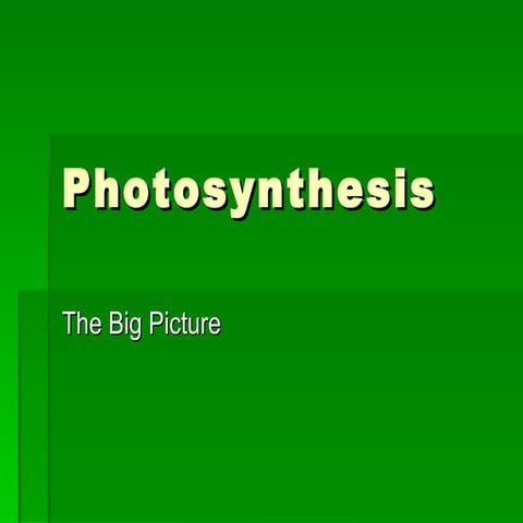 Photosynthesis part 3