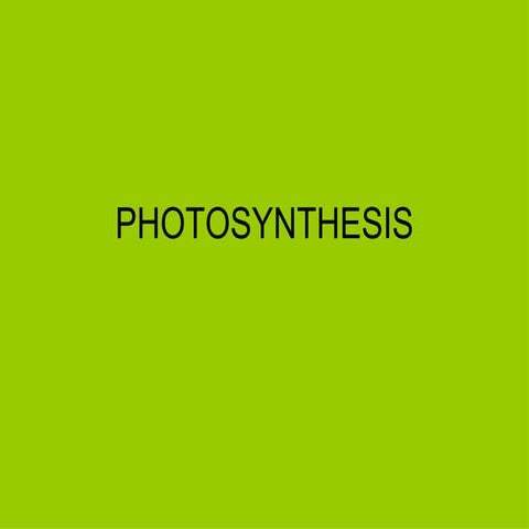 photosynthesis ppt.pdf