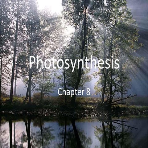 Photosynthesis ppt.pdfgghhhhhhhhjjjjjjjjj