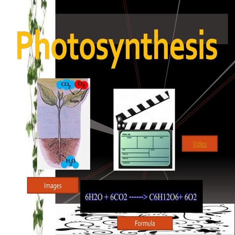 Photosynthesis
