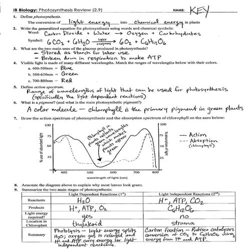 Photosynthesis Review Key (2.9)