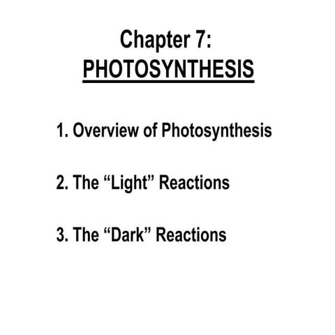Photosynthesis Slide.pdf