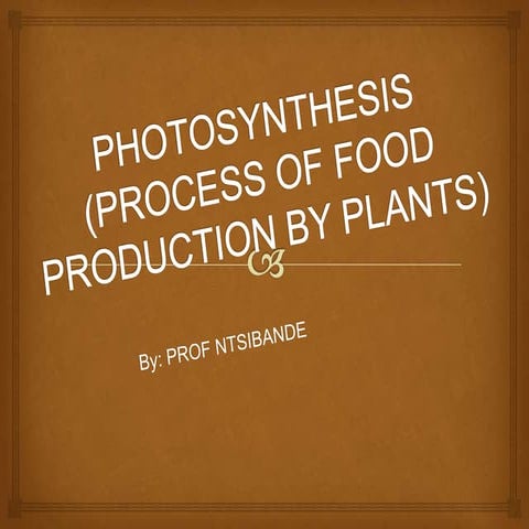 Photosynthesisslides 130528050523-phpapp01