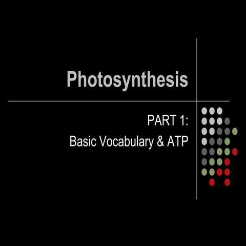Photosynthesis