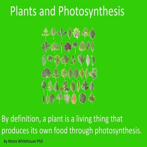  Photosynthesis (teach)