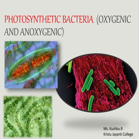 PHOTOSYNTHETIC BACTERIA  (OXYGENIC AND ANOXYGENIC)