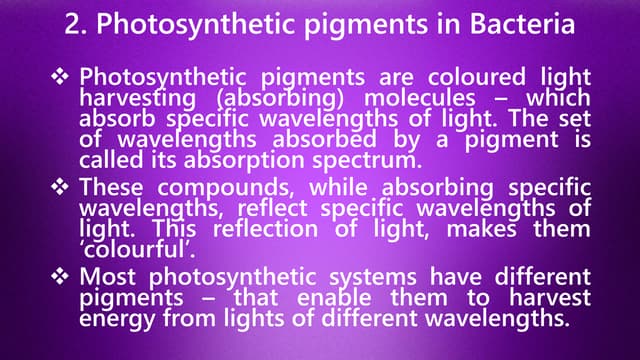Photosynthetic Pigments in bacteria.pdf